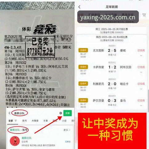 亚星下载体育投注对比实用指南：6个你不得不问的细节